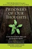 Prisoners of Our Thoughts - Viktor Frankl's Principles for Discovering Meaning in Life and Work (Paperback, 3rd Revised edition) - Alex Pattakos Photo