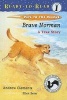 Brave Norman - A True Story (Hardcover) - Andrew Clements Photo