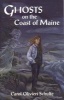 Ghosts on the Coast of Maine (Paperback) - Carol Schulte Photo