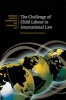 The Challenge of Child Labour in International Law (Hardcover) - Franziska Humbert Photo