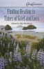 Finding Healing in Times of Grief and Loss (Paperback) - Silas Henderson Photo