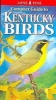 Compact Guide to Kentucky Birds (Paperback) - Michael Roedel Photo