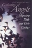 Gatherings of Angels - Migrating Birds and Their Ecology (Paperback) - Kenneth P Able Photo