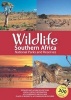 Wildlife Southern Africa 2015 - National Parks and Reserves (Paperback, 2nd Revised edition) -  Photo