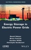 Energy Storage in Electric Power Grids (Hardcover) - Benoit Robyns Photo