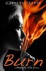 Burn (Paperback) - Kaitlyn Davis Photo