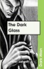 The Dark Glass, v. 13 (Paperback) - Peter Lancett Photo