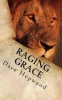 Raging Grace - Christian Ramblings from a Chaotic Mind (Paperback) - Dave Hopwood Photo