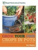 RHS Grow Your Own Crops in Pots - with 30 Step-by-Step Projects Using Vegetables, Fruit and Herbs (Hardcover) - Kay Maguire Photo