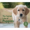 The Secret Life of Puppies - A Dog's-Eye View of its First Year of Life (Hardcover) - Sarah Whitehead Photo