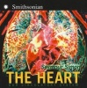 The Heart - Our Circulatory System (Hardcover, Updated) - Seymour Simon Photo