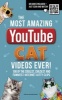 The Most Amazing Youtube Cat Videos Ever! (Paperback) - Matthew Woods Photo