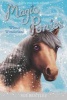 Winter Wonderland (Paperback) - Sue Bentley Photo