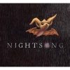 Nightsong (Hardcover) - Ari Berk Photo