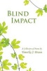 Blind Impact (Paperback) - Timothy Braun Photo