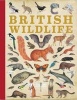 British Wildlife (Hardcover) - Qed Photo