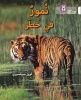 Tigers in Danger - Level 10 (Arabic, Paperback) - Louise Spilsbury Photo