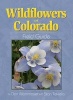 Wildflowers of Colorado Field Guide (Paperback) - Don Mammoser Photo