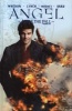 Angel, v. 4 - After the Fall (Hardcover) - Joss Whedon Photo