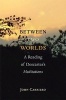 Between Two Worlds - A Reading of Descartes's 'Meditations' (Paperback) - John Carriero Photo