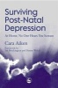 Surviving Post-Natal Depression - At Home No One Hears You Scream (Paperback) - Cara Aiken Photo