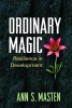 Ordinary Magic - Resilience in Development (Paperback) - Ann S Masten Photo