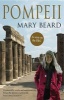 Pompeii - The Life of a Roman Town (Paperback, Main) - Mary Beard Photo