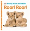 Roar! Roar! (Board book) - Shannon Beatty Photo