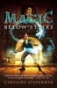 Magic Below Stairs (Paperback) - Caroline Stevermer Photo