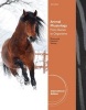 Animal Physiology - From Genes to Organisms (Paperback, International ed of 2nd revised ed) - Paul H Yancey Photo