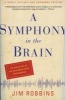 A Symphony in the Brain - the Evolution of the New Brain Wave Biofeedback (Paperback, Revised, Expand) - Jim Robbins Photo