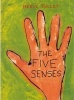 The Five Senses (Paperback, English Language Ed) - Herve Tullet Photo