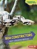 Boa Constrictors - Prey-Crushing Reptiles (Hardcover) - Rebecca E Hirsch Photo