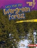 Let's Visit the Evergreen Forest (Hardcover) - Buffy Silverman Photo