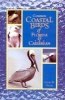 Common Coastal Birds of Florida & the Caribbean (Paperback, 1st ed) - David W Nellis Photo