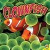 Clownfish (Paperback) - Pamela W McDowell Photo