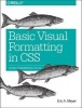 Basic Visual Formatting in CSS (Paperback) - Eric A Meyer Photo