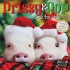 Prissy and Pop Deck the Halls (Hardcover) - Melissa Nicholson Photo