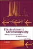 Electrokinetic Chromatography - Theory, Instrumentation and Applications (Hardcover, New) - Ute Pyell Photo