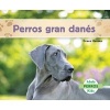 Perros Gran Dans (Great Danes) (Spanish, Hardcover) - Grace Hansen Photo