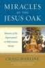 Miracles at the Jesus Oak - Histories of the Supernatural in Reformation Europe (Paperback) - Craig E Harline Photo