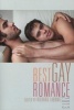 Best Gay Romance 2013 (Paperback, 2013) - Richard Labonte Photo