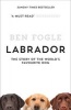 Labrador - The Story Of The World's Favourite Dog (Paperback) - Ben Fogle Photo