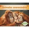 Animales Anaranjados (Spanish, Paperback) - Teddy Borth Photo