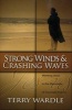 Strong Winds & Crashing Waves - Meeting Jesus in the Memories of Traumatic Events (Paperback) - Terry Wardle Photo