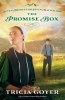 The Promise Box (Paperback) - Tricia Goyer Photo