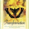 Transformation CD - Music for Relaxation, Meditation, Healing & Massage (Standard format, CD) - Martin Duguay Photo