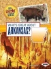 What's Great about Arkansas? (Paperback) - Darice Bailer Photo