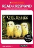 Owl Babies (Paperback) - Jean Evans Photo