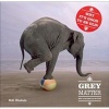 Grey Matter - Why it's Good to be Old! (Hardcover) - Bob Elsdale Photo